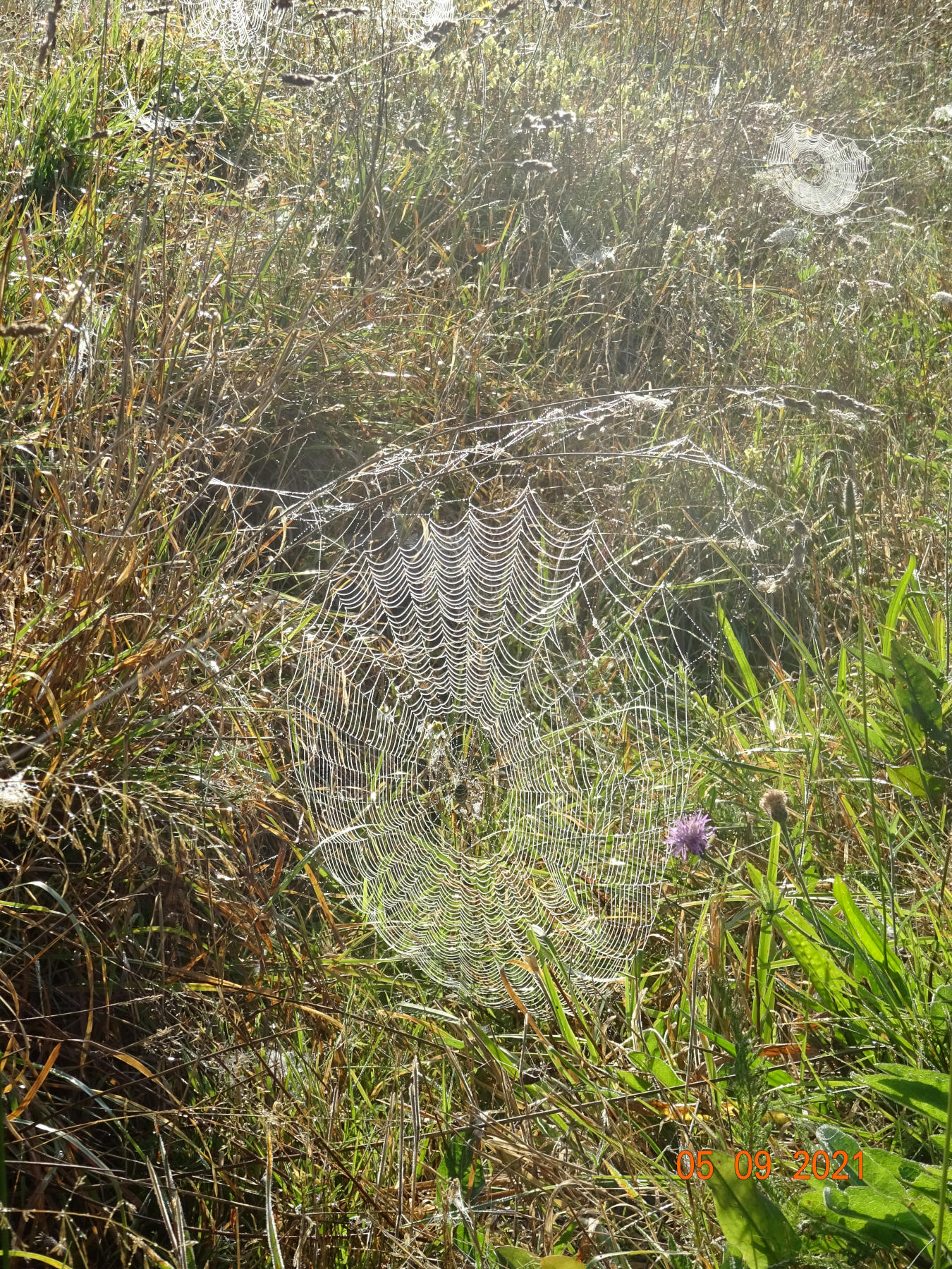 Sortie annuelle 2021