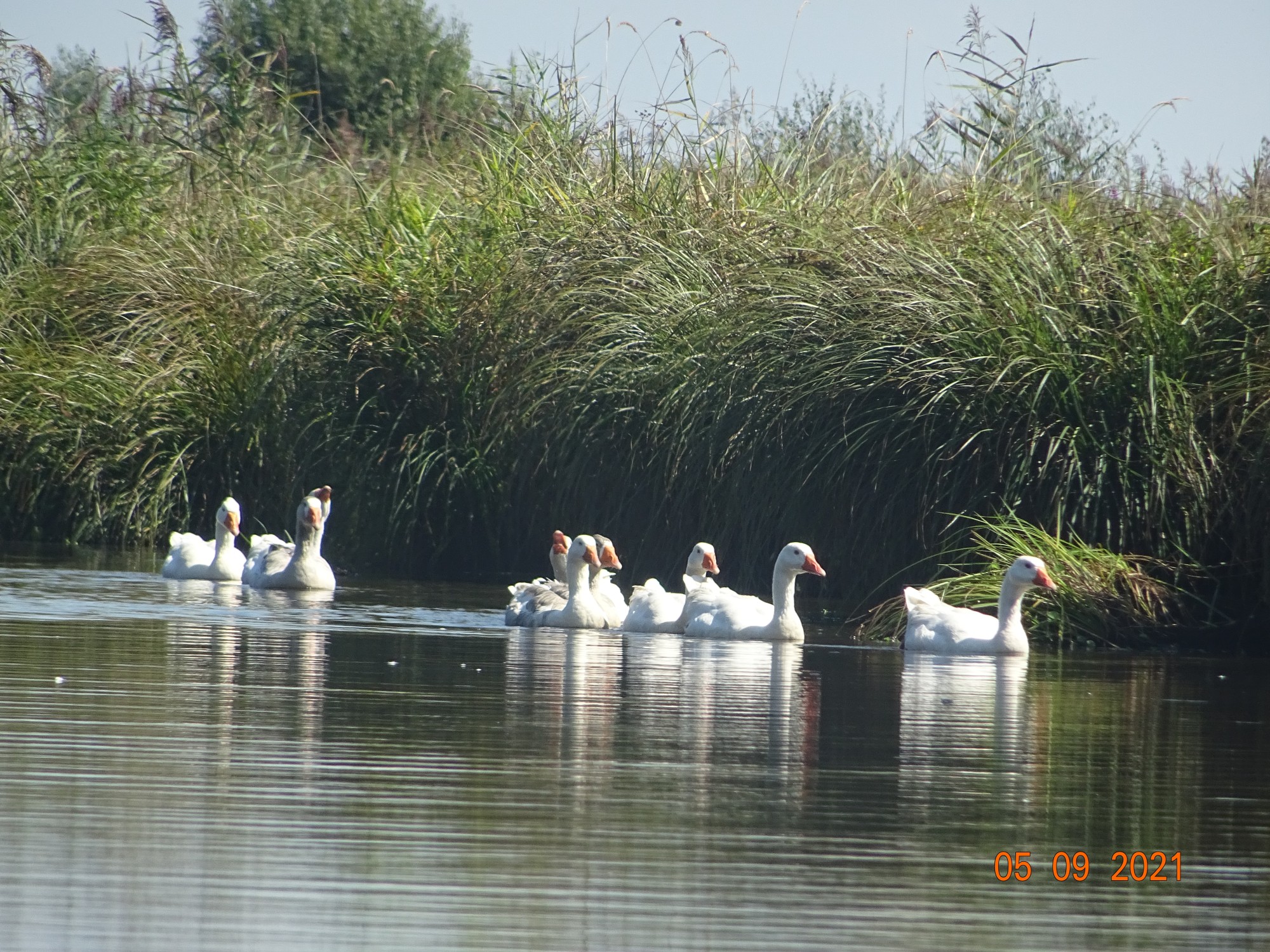 Sortie annuelle 2021