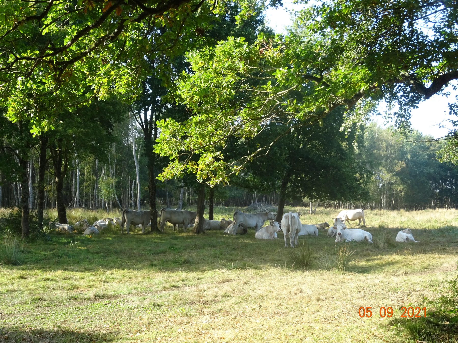 Sortie annuelle 2021