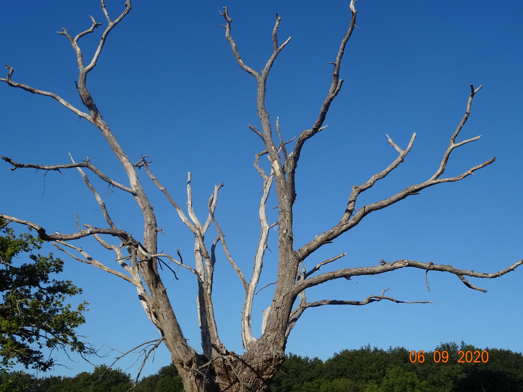 Sortie annuelle 2020