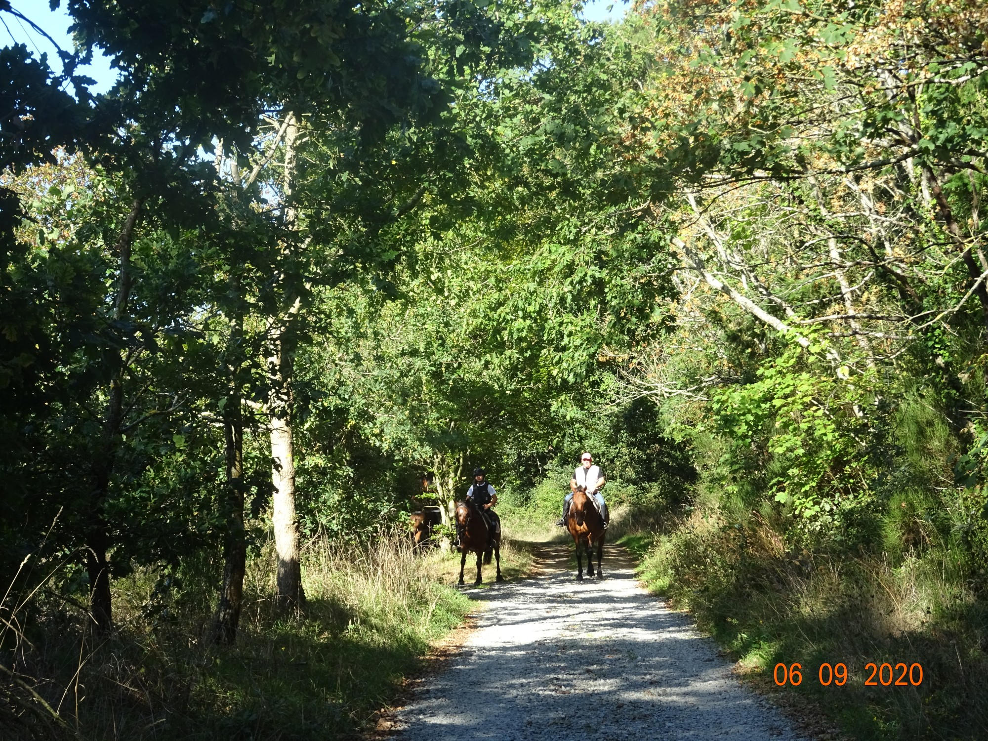 Sortie annuelle 2020