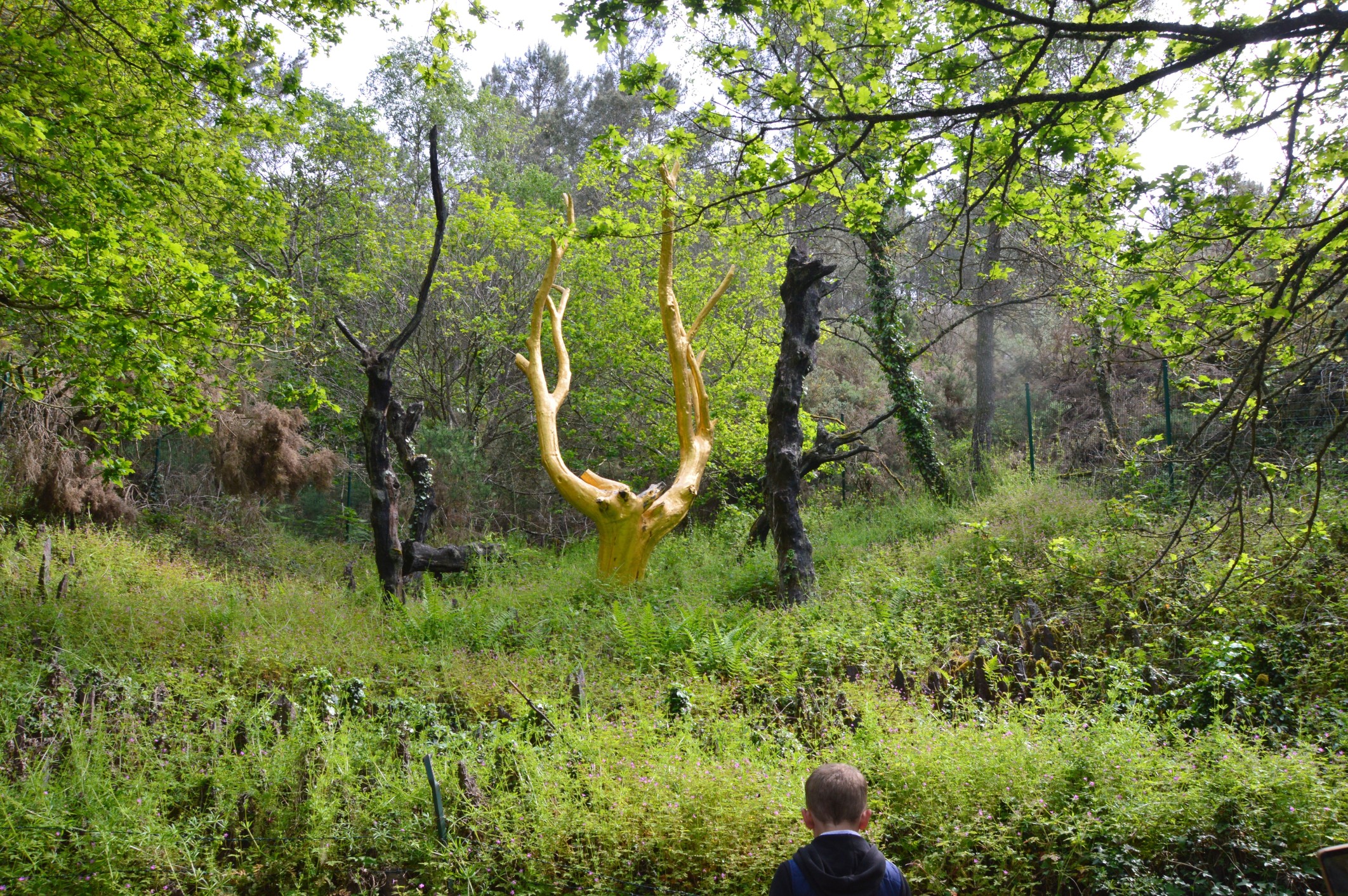 Sortie annuelle 2023